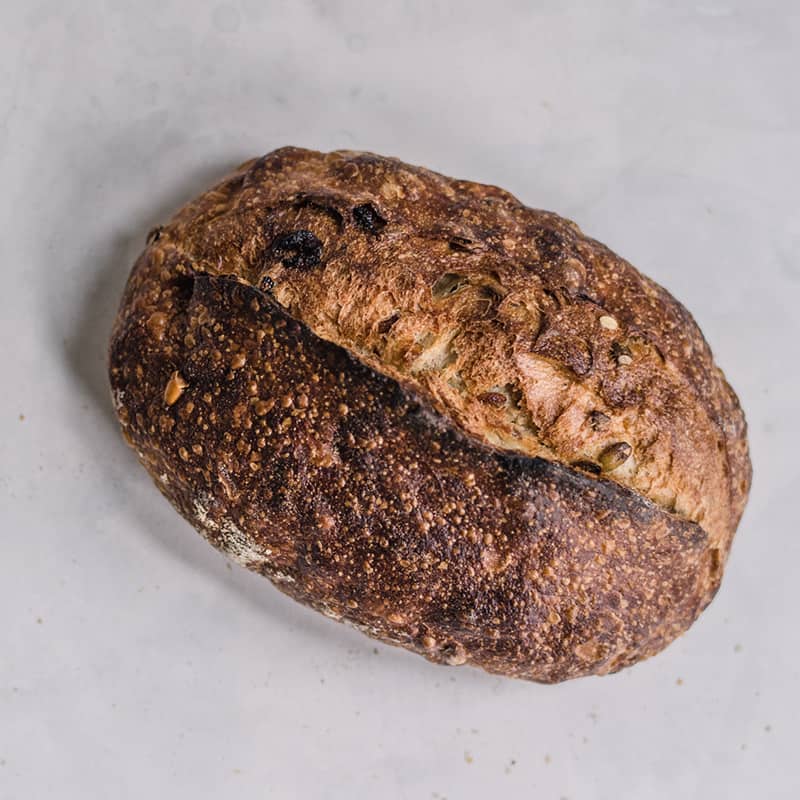 Bagel-Shop-10